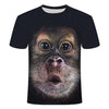 2019 New Men's T-Shirt 3D Print Animal Monkey T-Shirt Short Sleeve Funny Design Casual Top T-Shirt Dropshipping